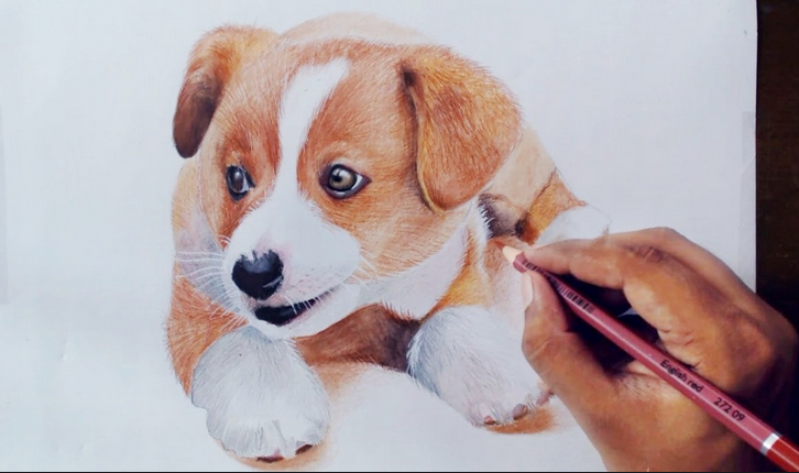 The best pet portrait in the world gets it at Painted Paws UK