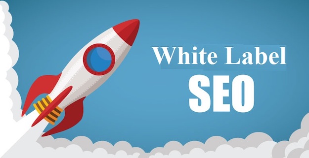 Pick comprehensive SEO remedies, the white label seo professional services for firms