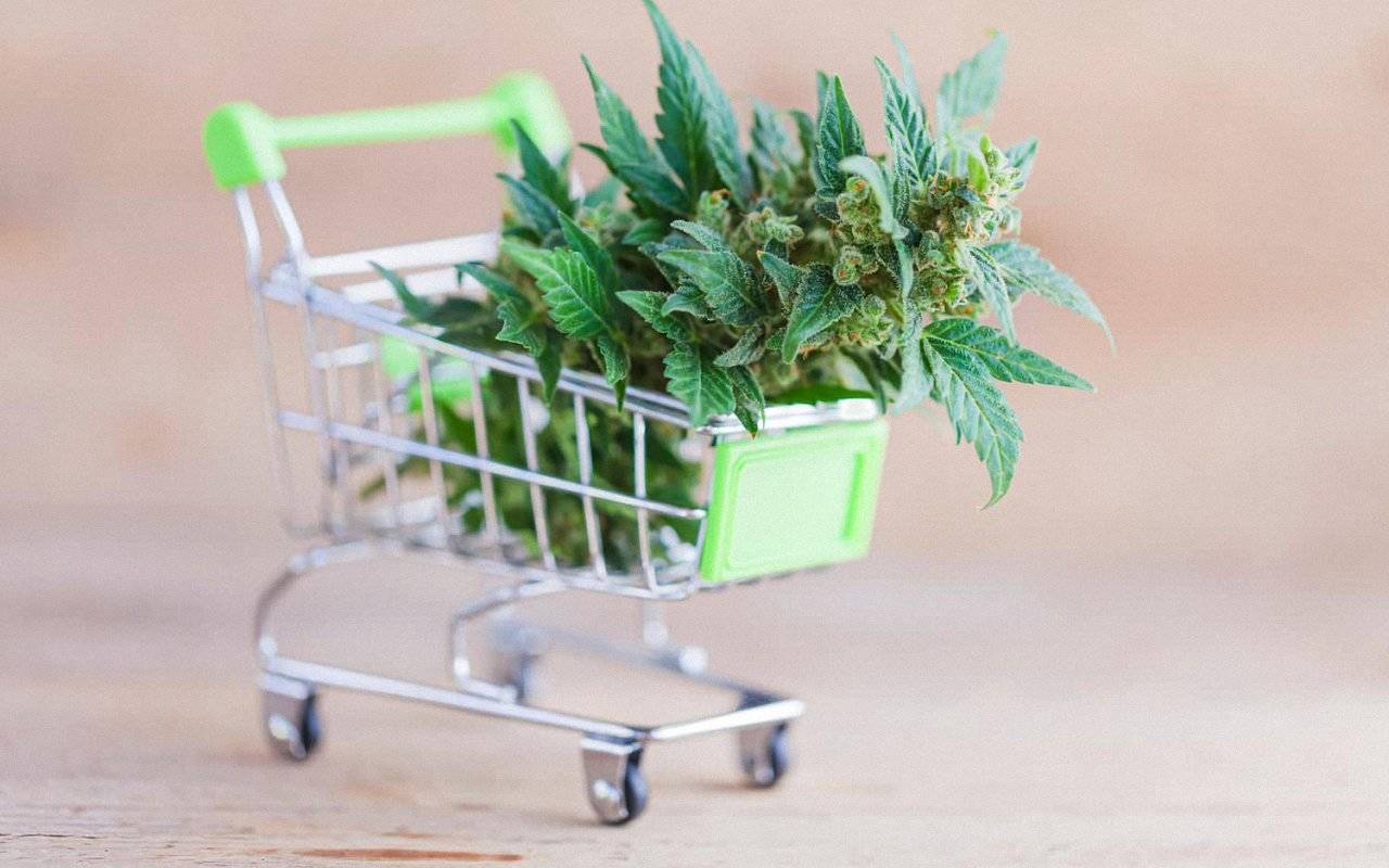 The Dos and Don’ts of Smoking Edible Weeds