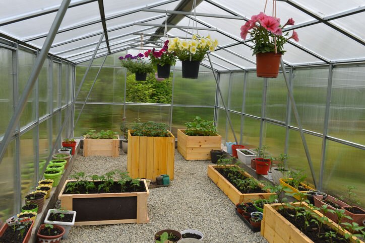 Why You Should Consider Greenhouse Gardening